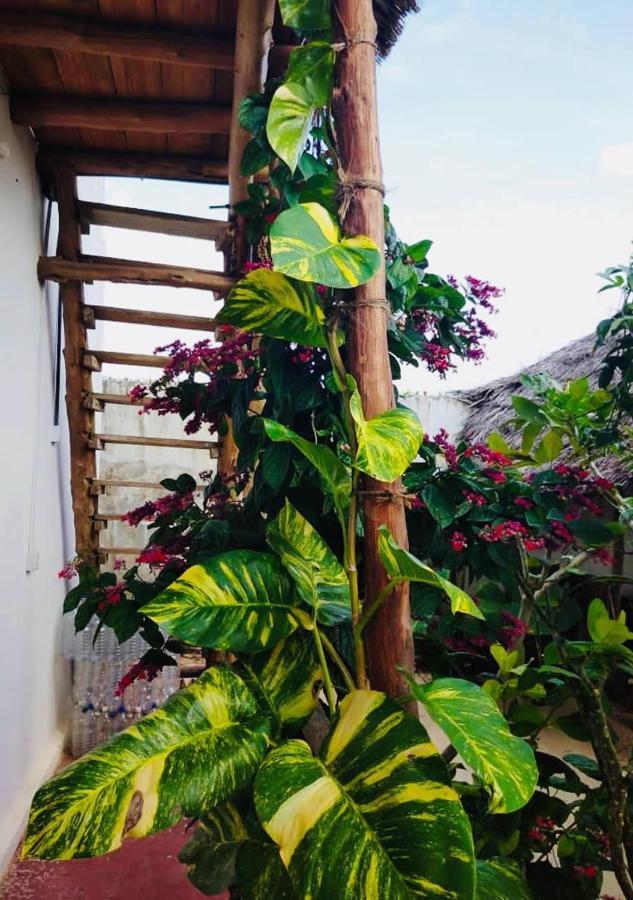 Bed and Breakfast Kilimani House Nungwi Exterior foto