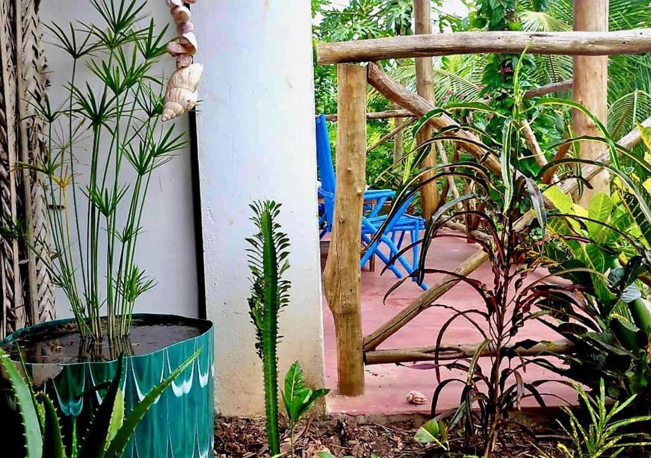 Bed and Breakfast Kilimani House Nungwi Exterior foto