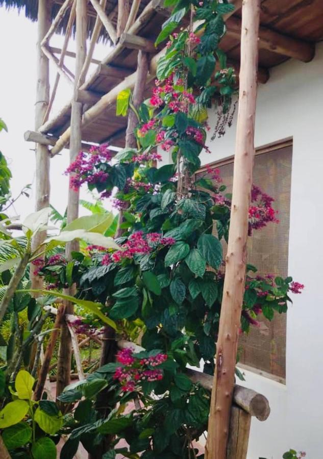Bed and Breakfast Kilimani House Nungwi Exterior foto