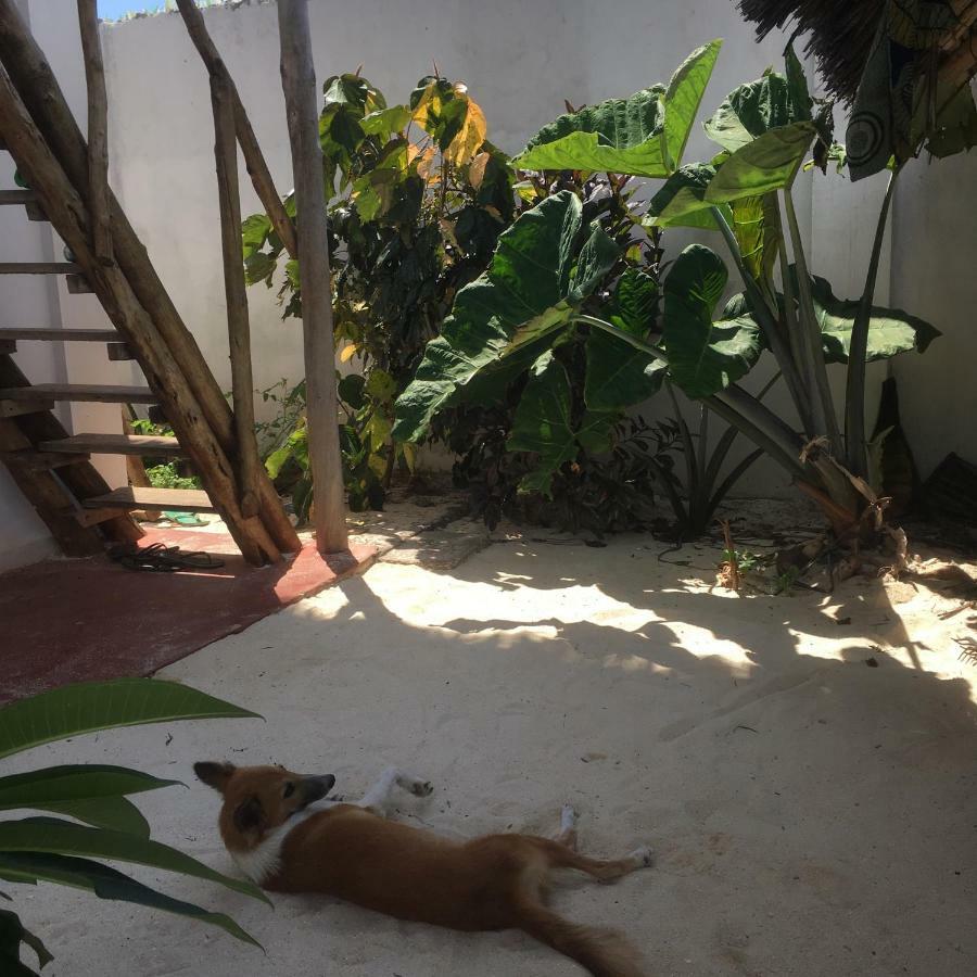 Bed and Breakfast Kilimani House Nungwi Exterior foto